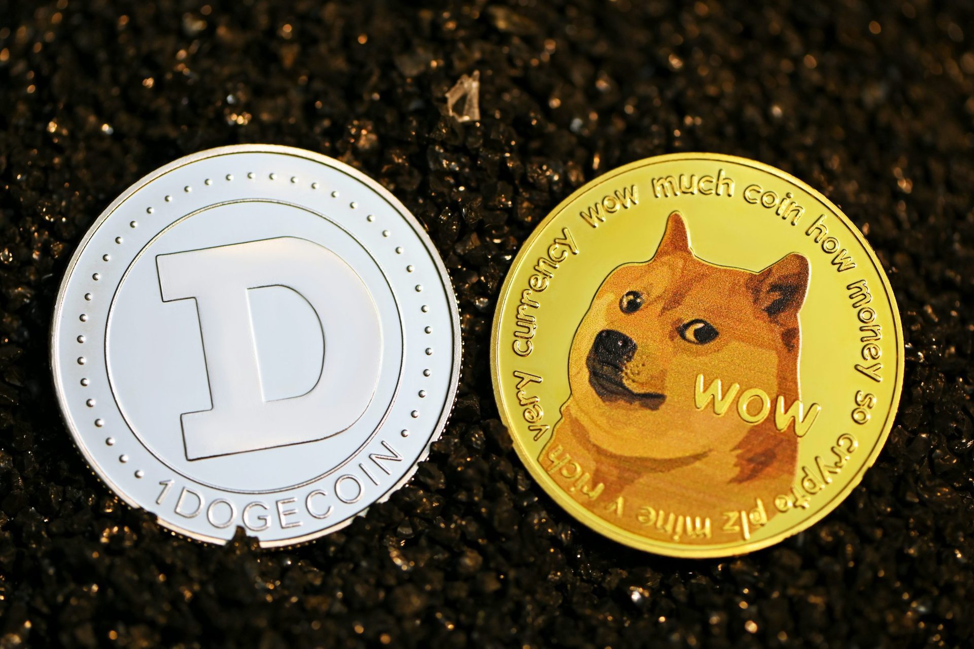 Dogecoin Primed For A Major Surge In Q1: What Analysts Predict For Its All-Time High