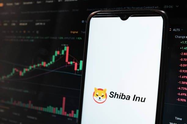 Will Shiba Inu Developer Drive Shib To $0.01? Expert Insights.