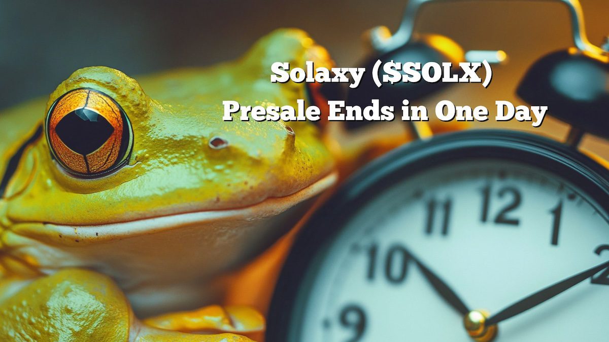 Whales Invest $495K In Solaxy As Presale Closes Tomorrow-Bitrabo Whales Invest $495K In Solaxy As Presale Closes Tomorrow