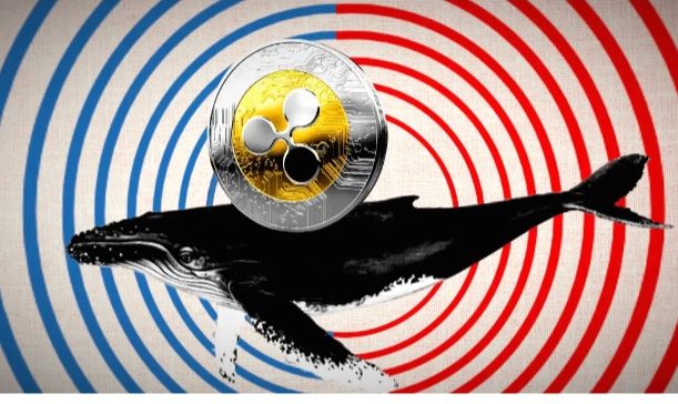 Ripple’S Xrp Transfer Raises Questions About Market Effects