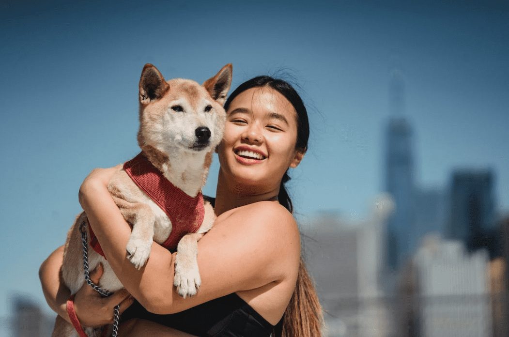 Trillions Of Shiba Inu Tokens Hit Break-Even As Meme Coin Price Soars 11%