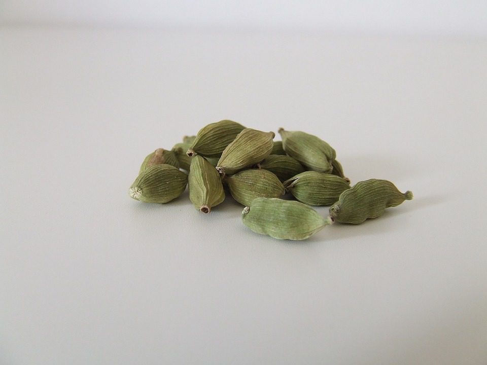 Cardano (Ada) Price Could Potentially Reach $0.30 Again