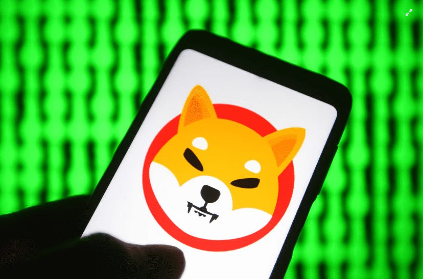 Riding The Bitcoin Wave: Memecoins Hit New Highs In A Crypto Carnival