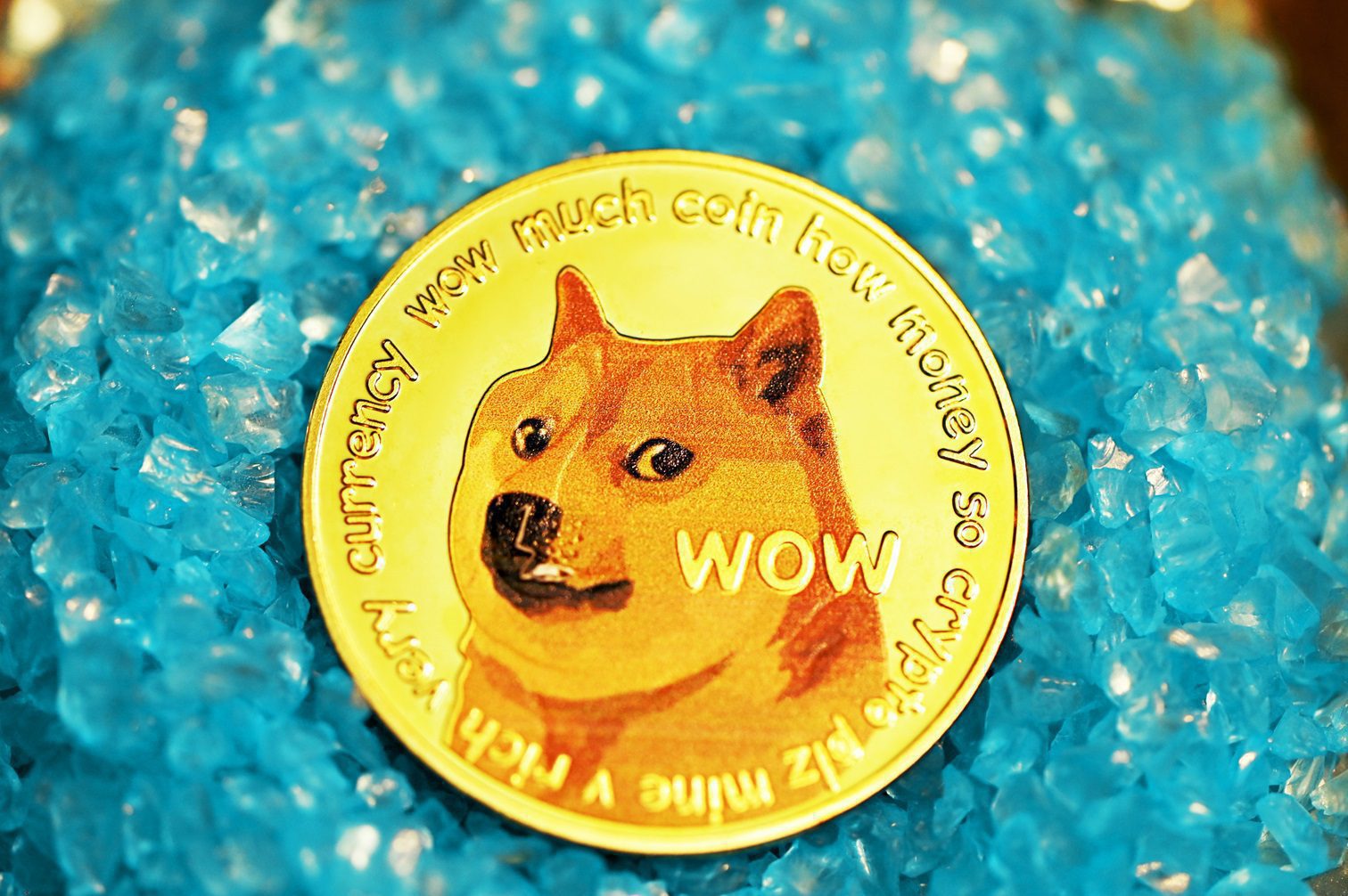 Big Money Eyes Dogecoin: Whale Activity Explodes 600%