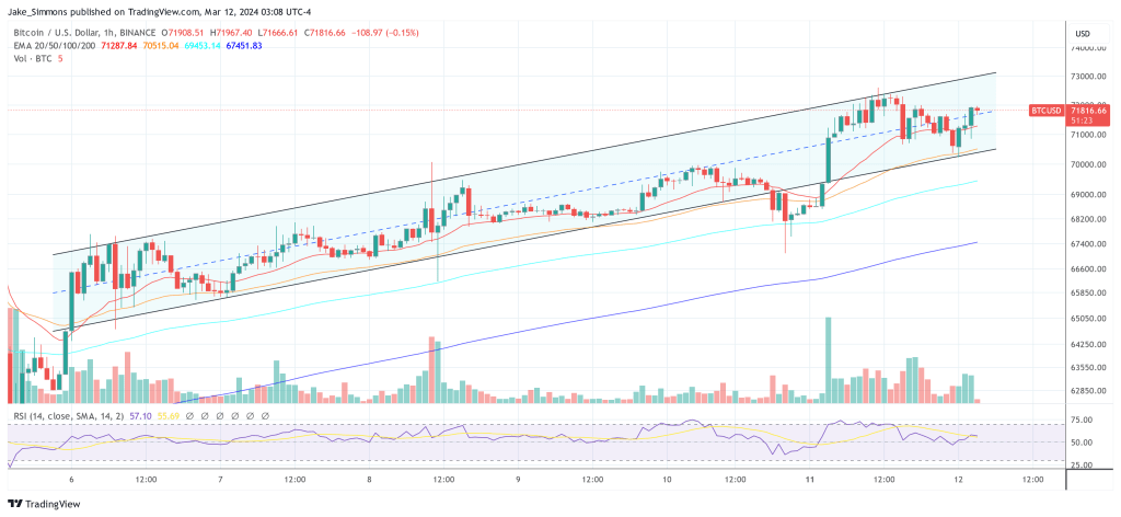 White House Forecasts Bitcoin Surge To $250,000, Expert Reveals-Bitrabo Bitcoin Price