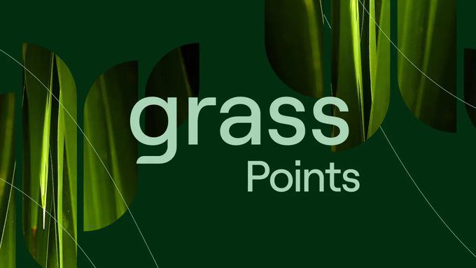 Grass Airdrop Guide And Review