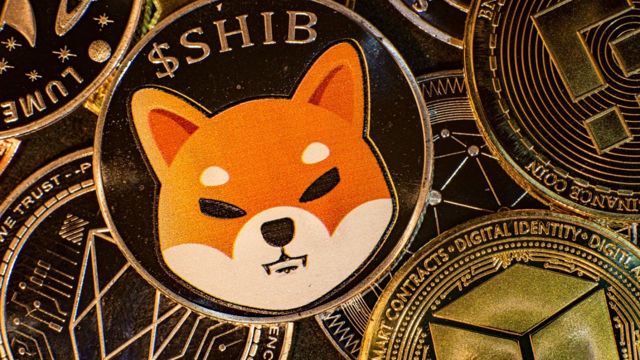 Shiba Inu Reaches Critical Junction In Its Campaign For $0.00028