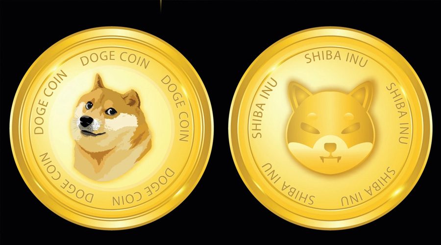 Why Is The Dogecoin And Shiba Inu Price Swimming In Red Today?-Bitrabo Why Is The Dogecoin And Shiba Inu Price Swimming In Red Today?