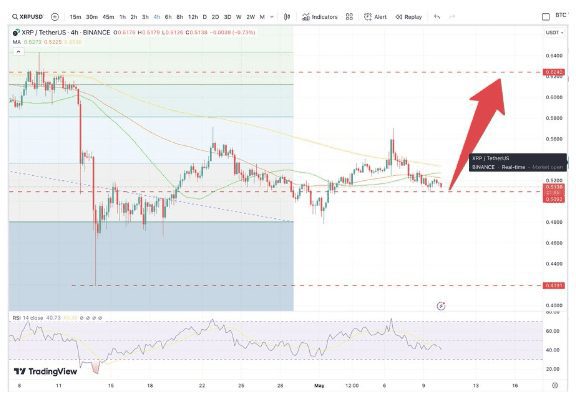 Xrp Rally Potential Identified By Crypto Ceo