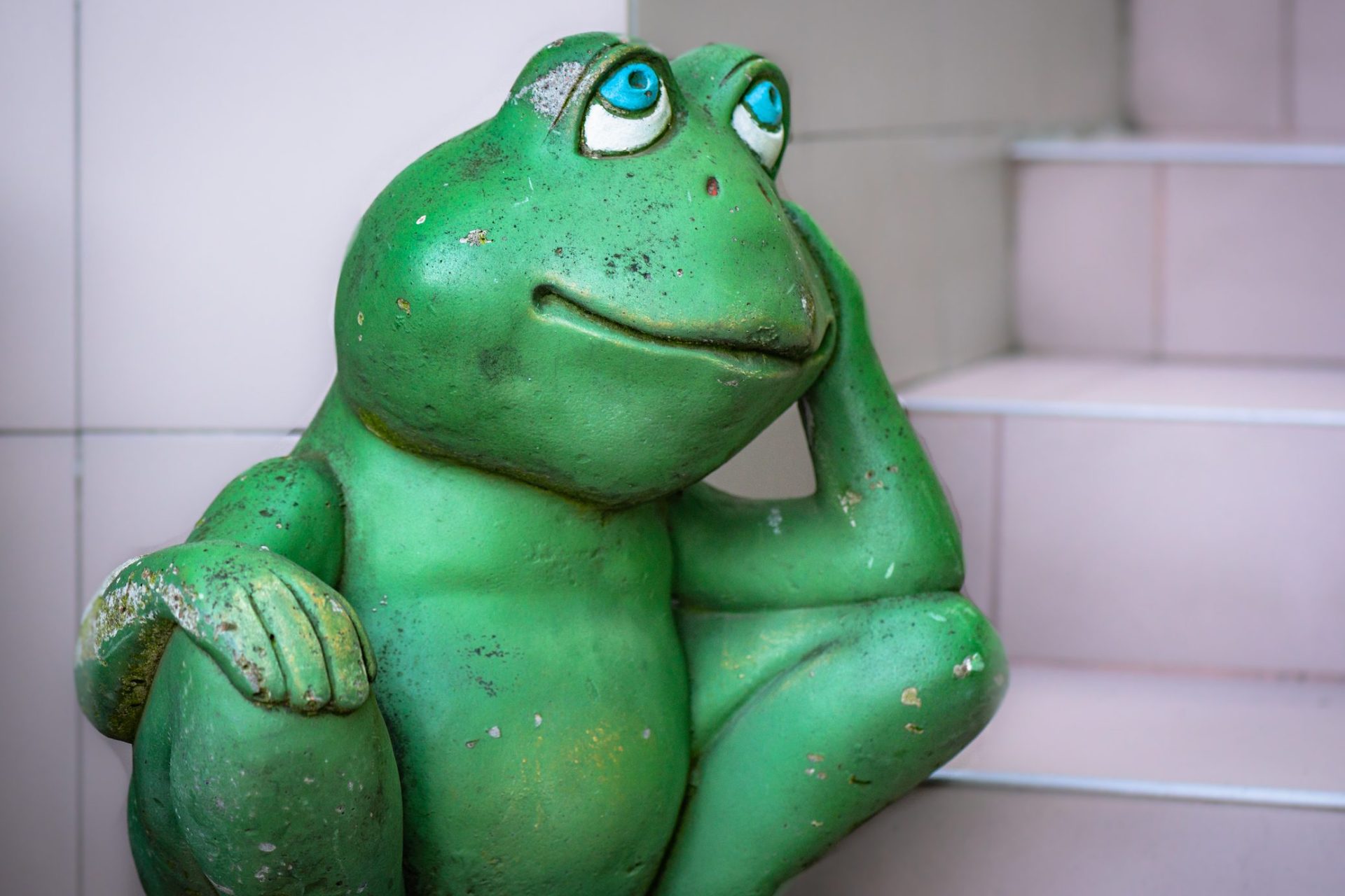 Pepe Token On The Rise Despite Crypto Market Downturn-Bitrabo Pepe Token On The Rise Despite Crypto Market Downturn