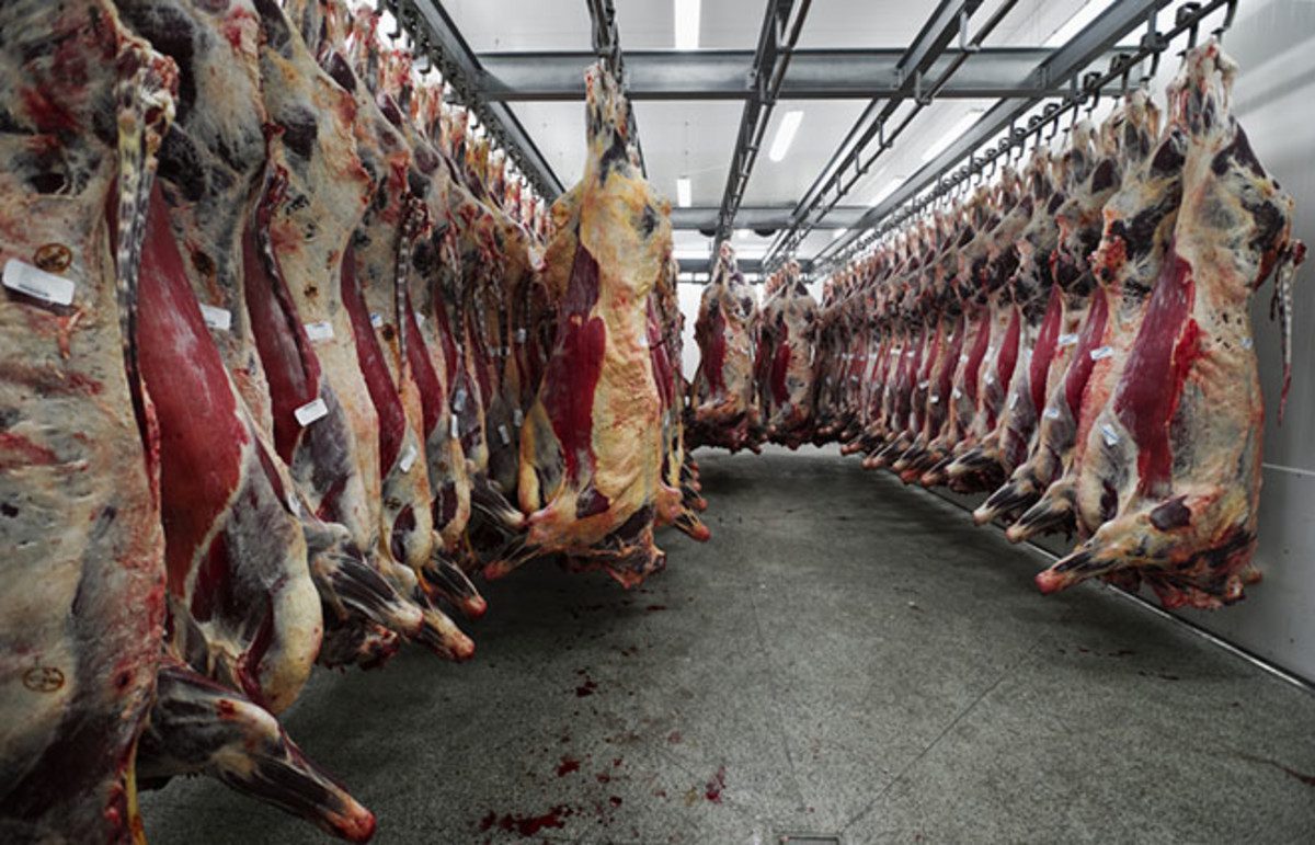 South Korea Cracks Down On Crypto Scam: 19 Arrested In Deceptive 'Reading Room' Fraud-Bitrabo South Korea Cracks Down On Crypto Scam: 19 Arrested In Deceptive ‘Reading Room’ Fraud