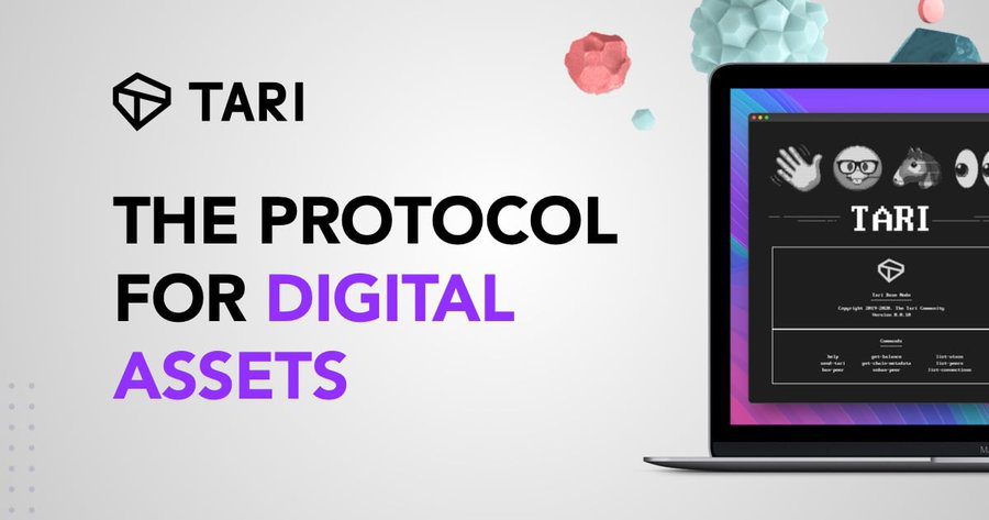 Comprehensive Review And Walkthrough Of Tari Airdrop-Bitrabo Comprehensive Review And Walkthrough Of Tari Airdrop