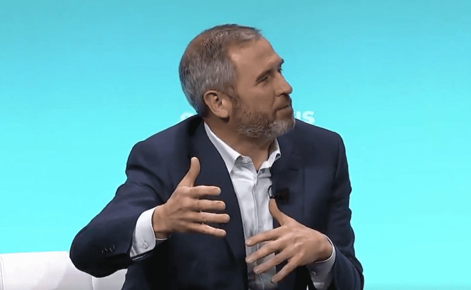 Ripple Ceo Criticizes Dogecoin, Calls It Detrimental To Crypto Industry