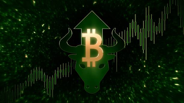 Analyst Predicts Bitcoin’S Bullish Reversal And Possible New All-Time High Before 2024 Ends