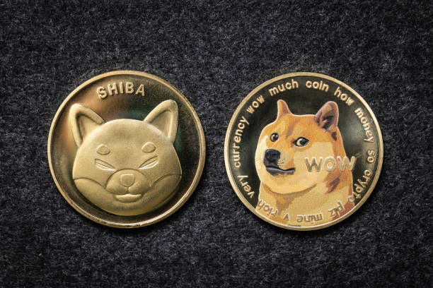 New Game Development Teased By Shiba Inu Team Member Sparks Excitement-Bitrabo New Game Development Teased By Shiba Inu Team Member Sparks Excitement