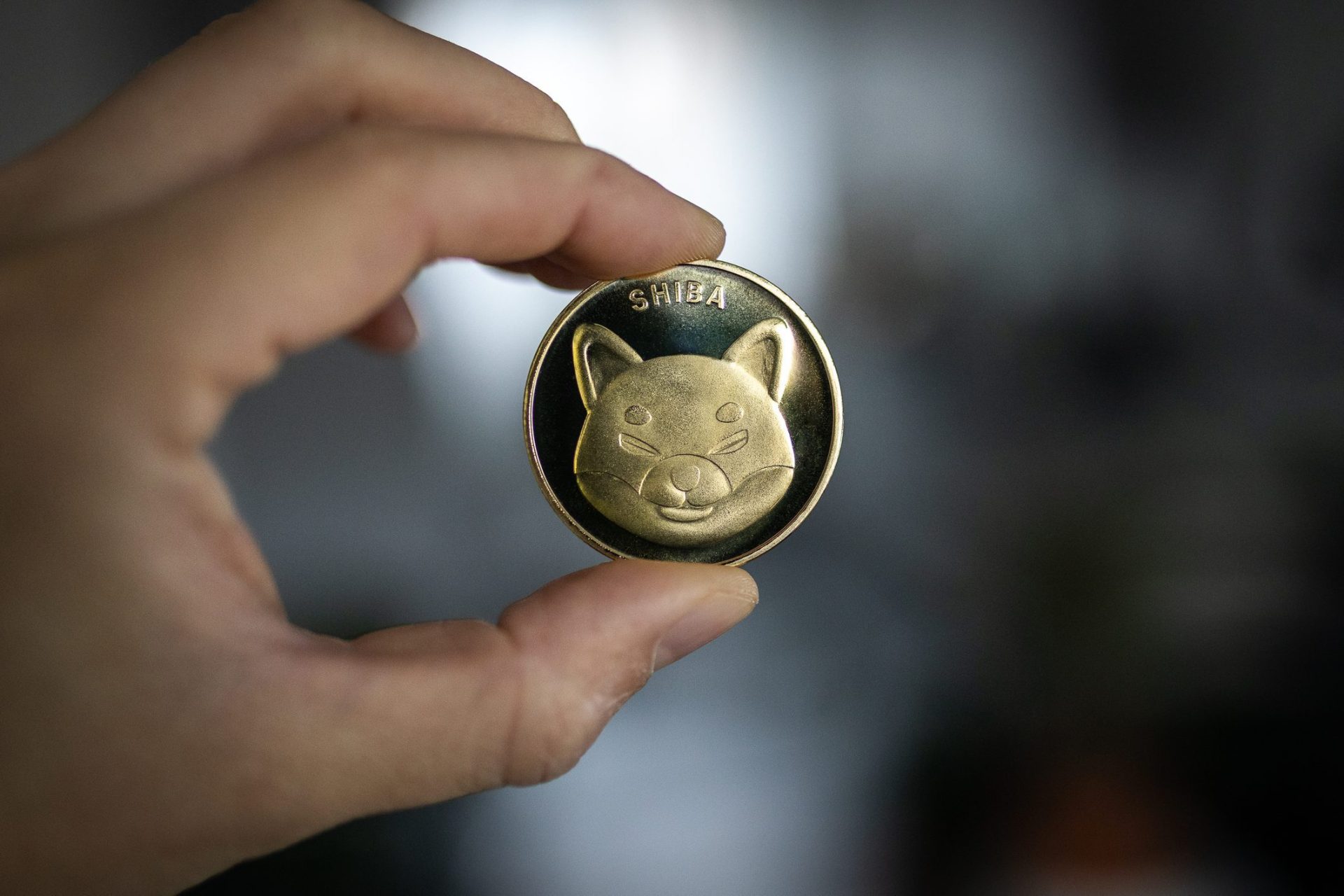 Shiba Inu Whale Makes A Comeback By Buying 323 Billion Shib Tokens-Bitrabo Shiba Inu Whale Makes A Comeback By Buying 323 Billion Shib Tokens