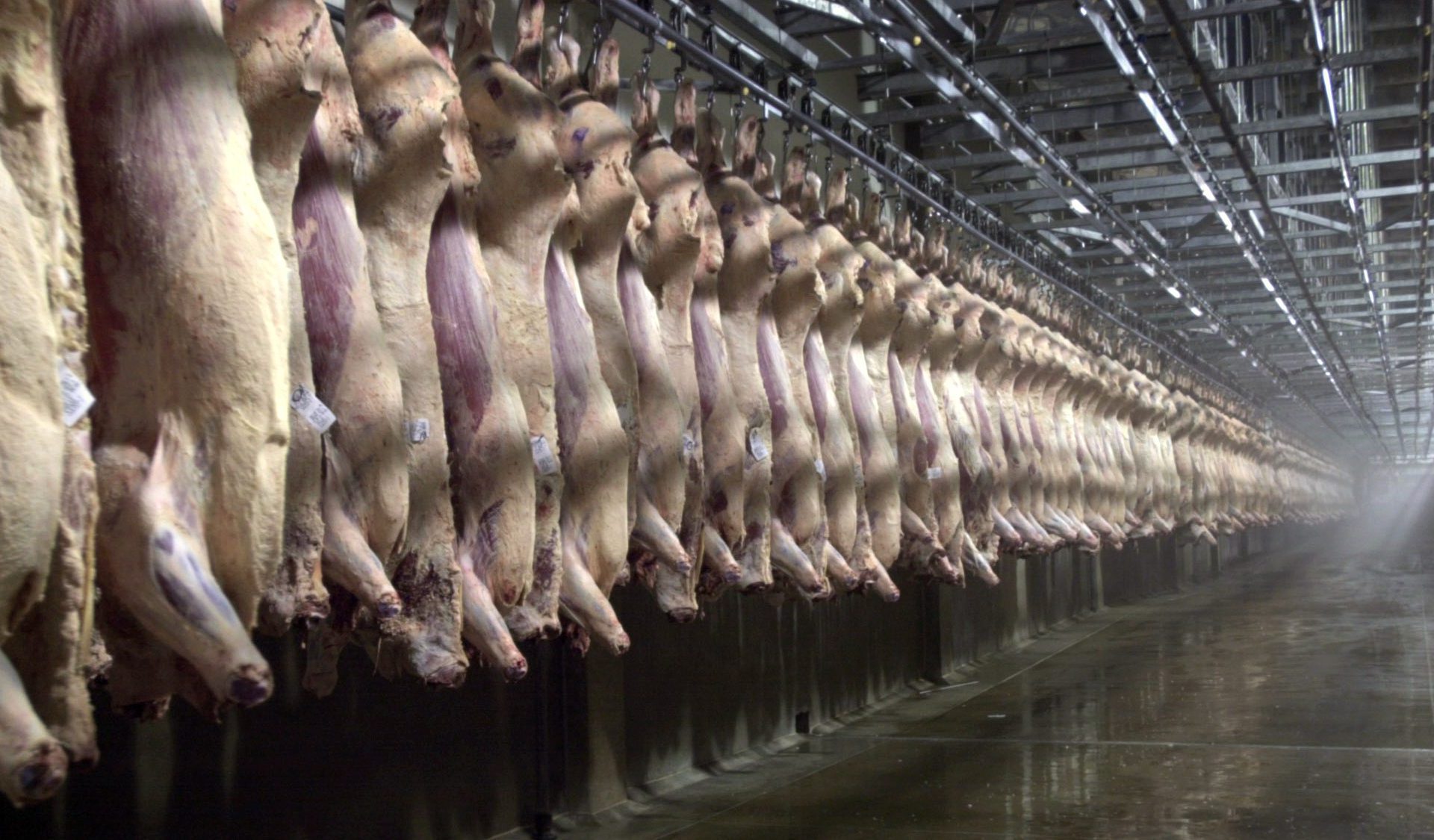 Us Pursues $2.5 Million In Crypto Linked To 'Pig Butchering' Scam Victims-Bitrabo Us Pursues $2.5 Million In Crypto Linked To ‘Pig Butchering’ Scam Victims