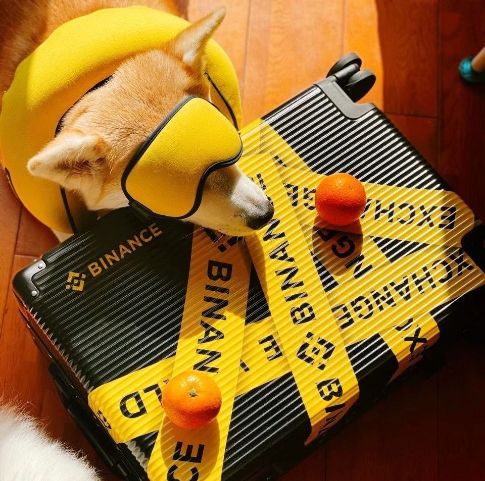 Shiba Inu: Binance Teases Potential Developments-Bitrabo Shiba Inu: Binance Teases Potential Developments