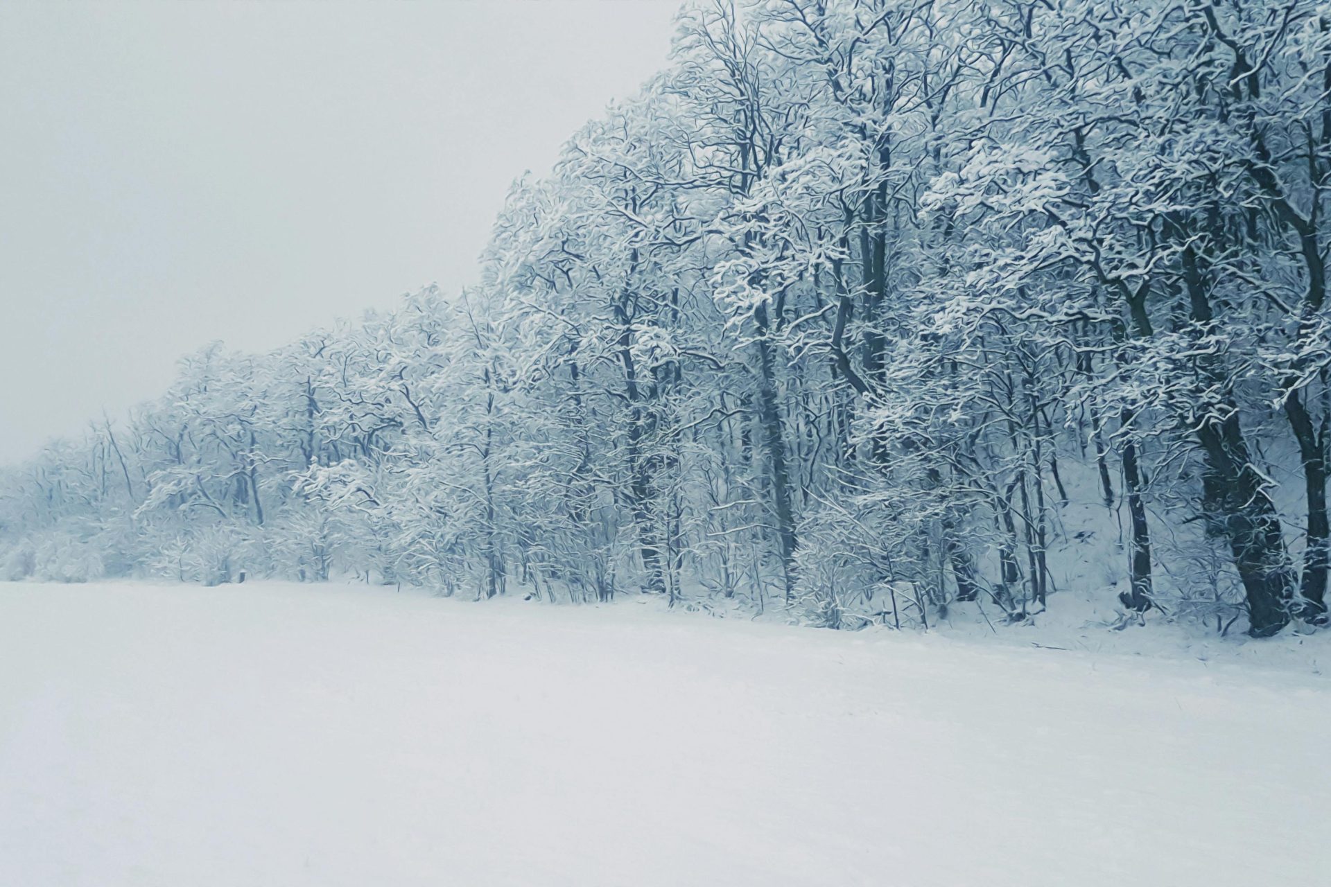 Bitcoin Mining Profitability Drops To Historic Lows, Data Reveals-Bitrabo Bitcoin Mining Profitability Drops To Historic Lows, Data Reveals