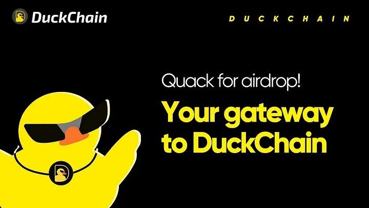 Guide And Evaluation Of Duckchain Airdrop