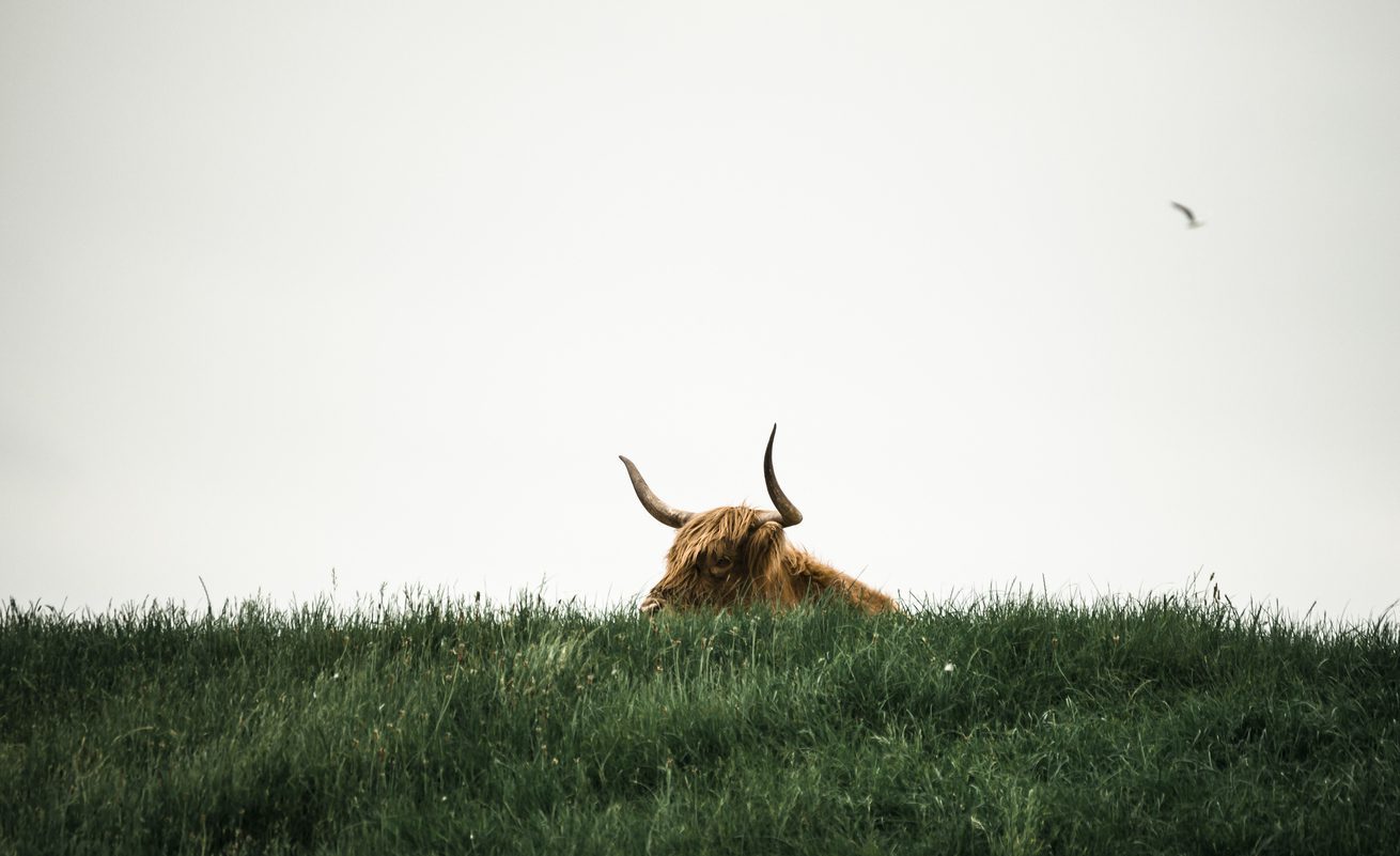 Will Bitcoin'S Bull Run Reach Its Zenith In 2025? Insights From Blockchain Experts-Bitrabo Will Bitcoin’S Bull Run Reach Its Zenith In 2025? Insights From Blockchain Experts