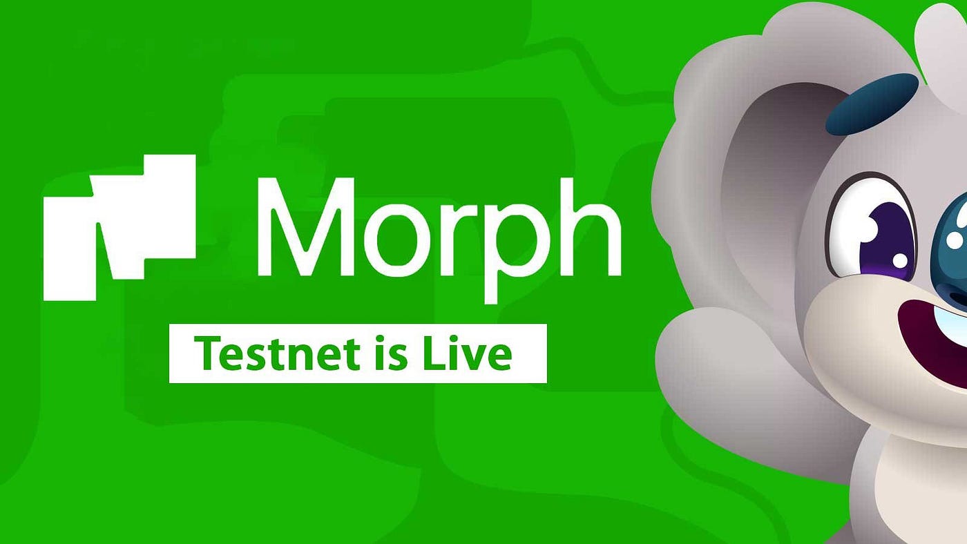 The Ultimate Guide To Morph Airdrop: Everything You Need To Know