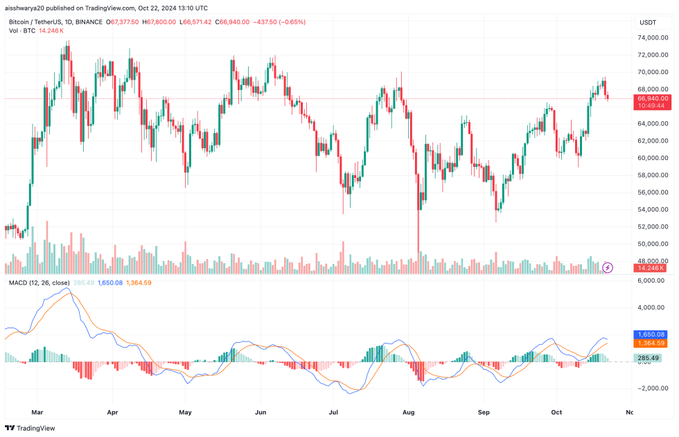 Bitcoin Dips Below $67,000 As Crypto Liquidations Exceed $190 Million: Will Btc Make A Comeback?-Bitrabo Bitcoin