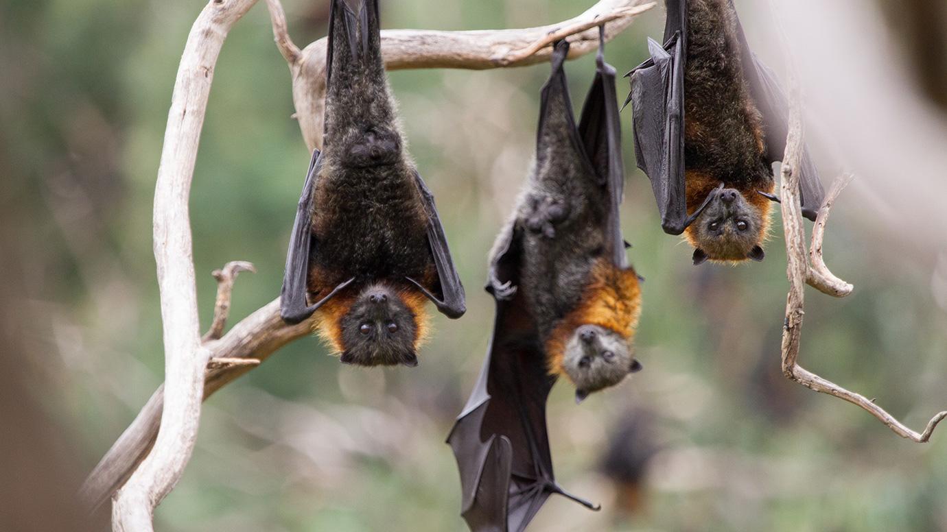 Vitalik Buterin Calls Out Michael Saylor’s Bitcoin Remarks As 'Completely Wild'-Bitrabo Vitalik Buterin Calls Out Michael Saylor’s Bitcoin Remarks As ‘Completely Wild’