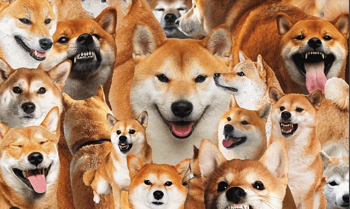 “Dogecoin Co-Founder Critiques Bitcoin As A Reserve Asset”
