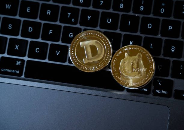 Dogecoin Soars: Is It Time To Invest In More Doge?-Bitrabo Dogecoin Soars: Is It Time To Invest In More Doge?