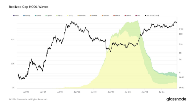 Solana Bulls Strengthen Their Stance: Fresh Long-Term Investors Indicate Optimism For 2024 Surge-Bitrabo 1734301205 369 Solana Investors Double Down New Long Term Holders Signal Confidence In-Bitrabo