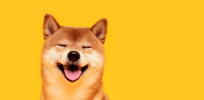 Dogecoin'S Path To $1: Key Price Levels To Monitor As Recovery Gains Momentum-Bitrabo Dogecoin’S Path To $1: Key Price Levels To Monitor As Recovery Gains Momentum