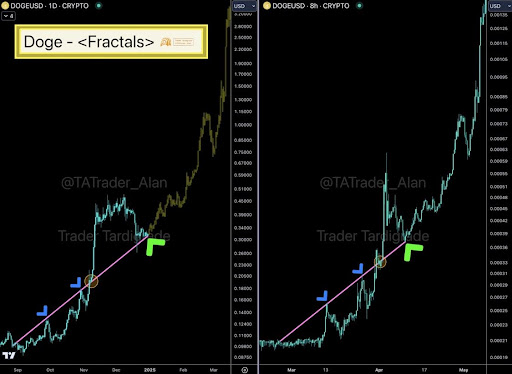 Analyst Discovers Strong Support Levels For Dogecoin Amidst Market Turbulence-Bitrabo Dogecoin Price 2