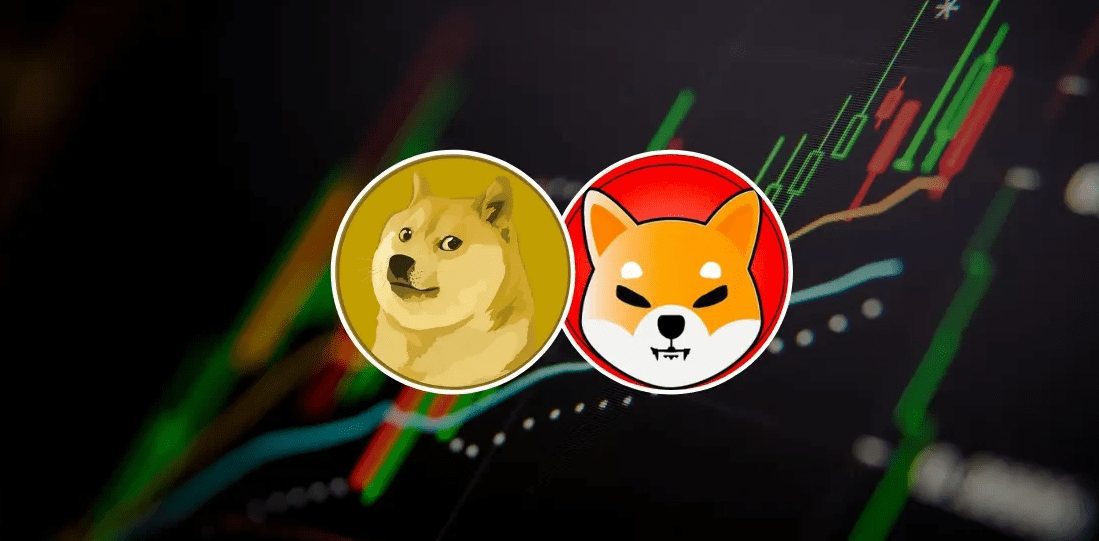 The Shocking Downturn Of Dogecoin And Shiba Inu Prices Explained