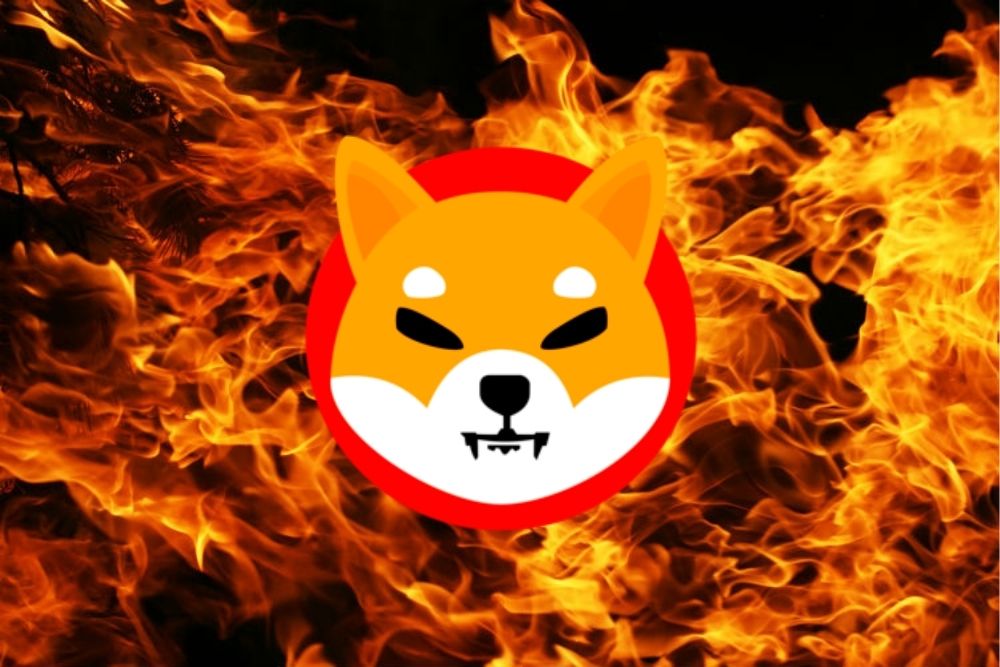 Shiba Inu Experiences 42% Surge In Burn Rate On Christmas, Boosting Price By 3.5%-Bitrabo Shiba Inu Experiences 42% Surge In Burn Rate On Christmas, Boosting Price By 3.5%