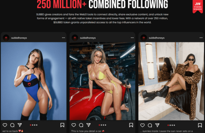 Subbd Token Presale Website