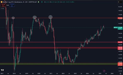 Bitcoin Dominance Strong Amid Crash: Impact On Altcoins Revealed