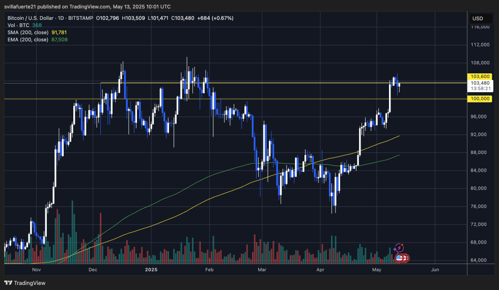 Usdt Surge Sparks Altcoin Takeover As Bitcoin Dominance Wanes-Bitrabo Btc Testing Local Highs | Source: Btcusdt Chart On Tradingview