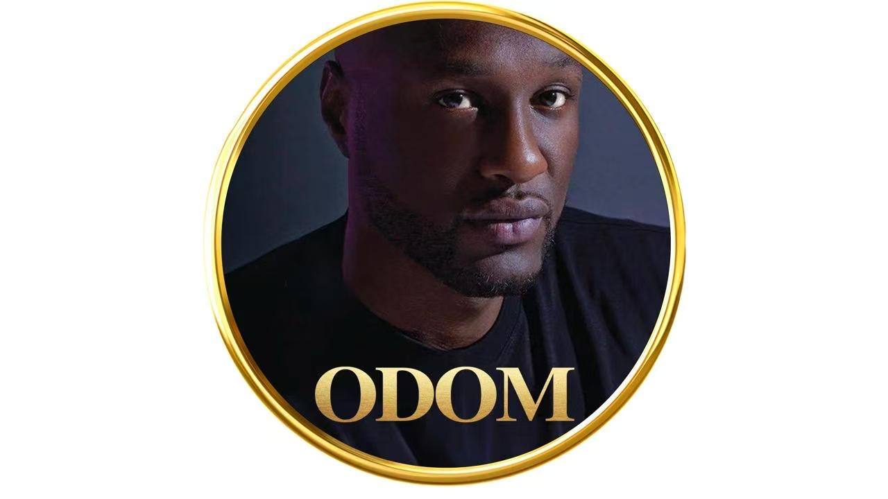 Lamar Odom’S Coin Revolutionizes Anti-Addiction In Web3