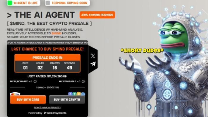 Last Chance: Mind Of Pepe Presale Closes In 24 Hours-Bitrabo Mind Of Pepe Presale Info