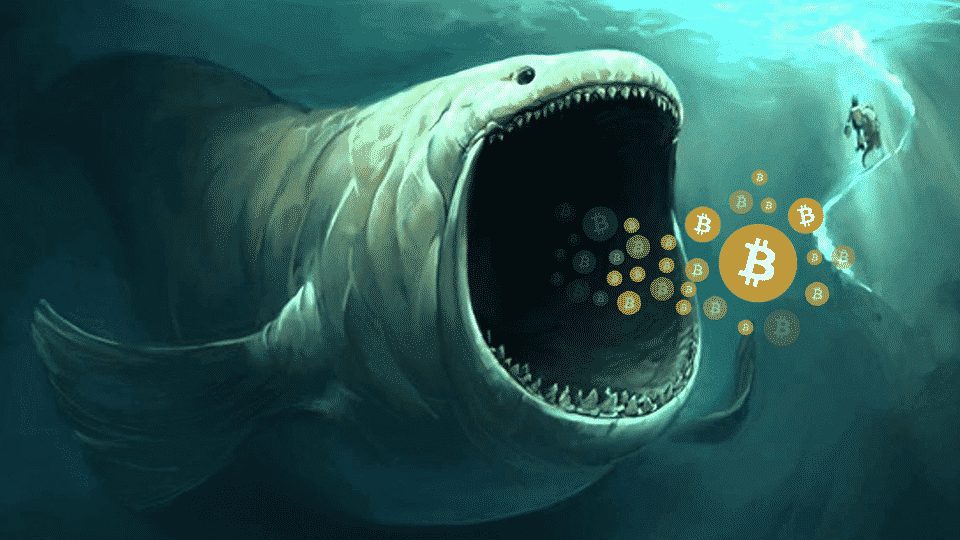 The Fate Of The Bitcoin Whale With $1B In Long And Short Bets