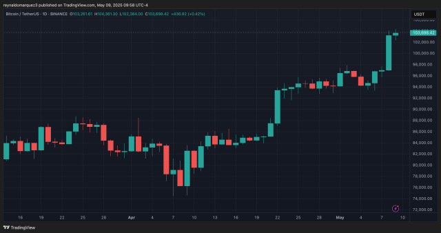 Whitebit Bitcoin Chart May 2025