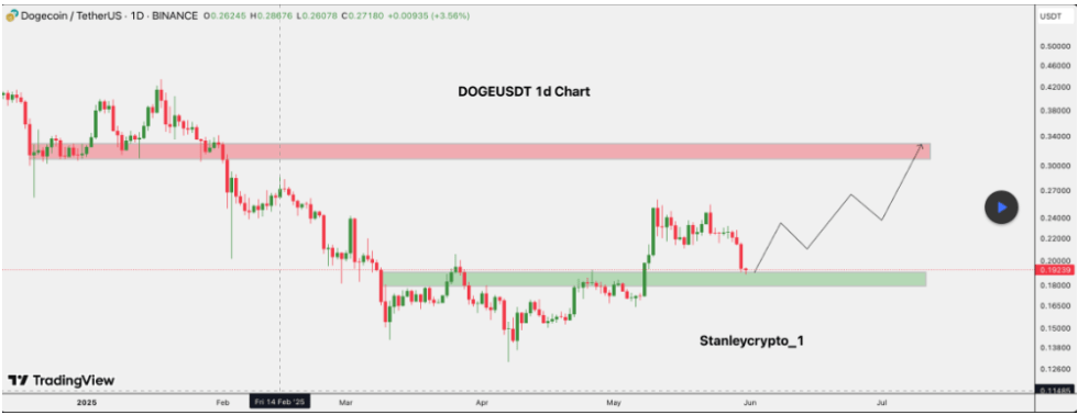 Dogecoin Support Zone