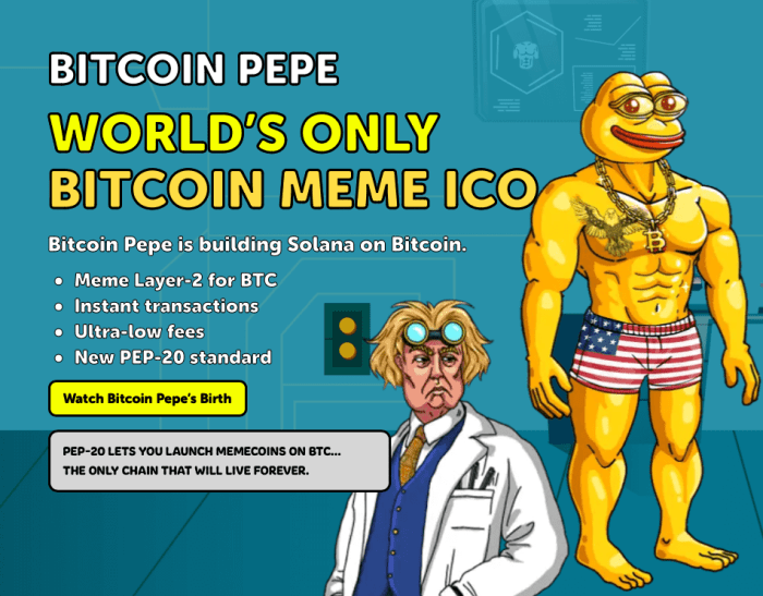 Memechain Presale Information.