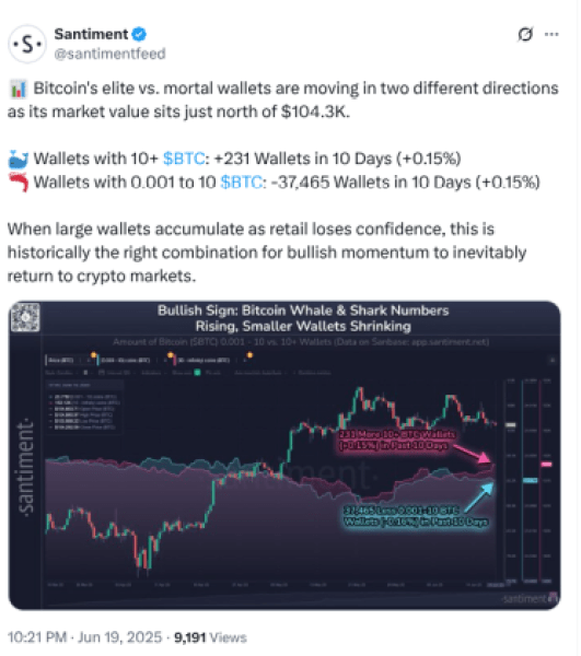 Bitcoin Faces A Pivotal Moment: $Hyper Set For Takeoff?-Bitrabo Santiment Data Reflecting Movement Of Wallets