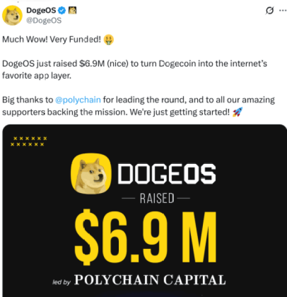 Investment Announcement For Dogeos