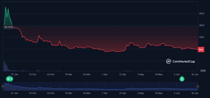 Meme Coin Performance