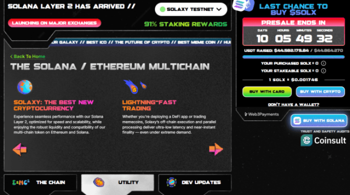 Solaxy Presale Overview