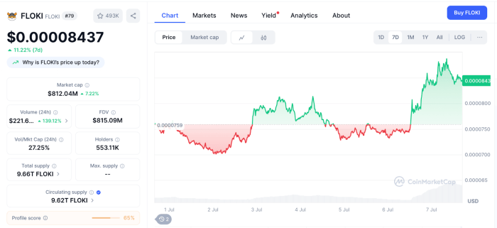 Crypto Surge Today: Discover 3 Must-Buy Coins Now-Bitrabo Floki One Week Price Action