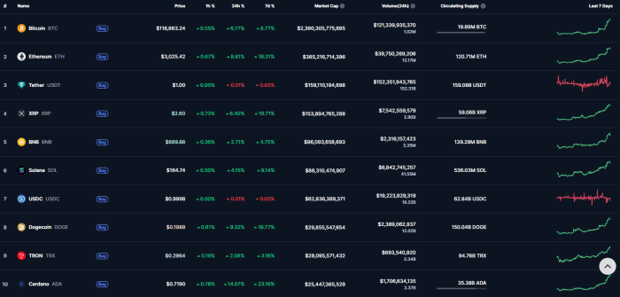 Bitcoin Soars To $118K: 48 Million Americans Join The Craze-Bitrabo Top Ten Cryptos Performance